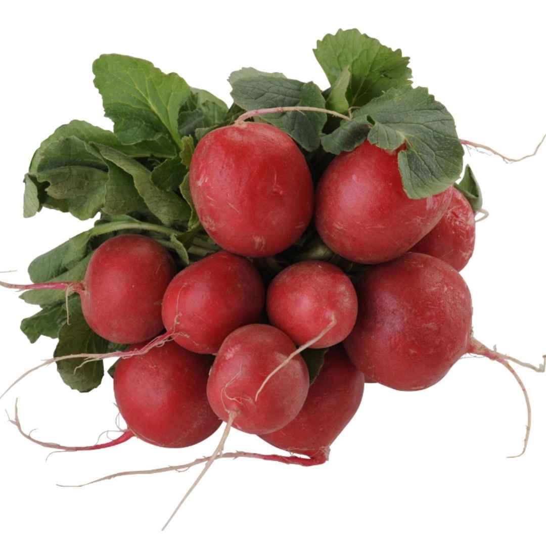 Radieschen Bund 1 St – Frisches Gemüse für Salate & Snacks