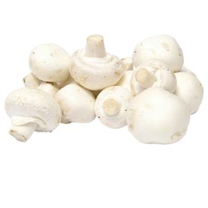 Weiße Champignons mittel 250 g – Frische Pilze für Küche