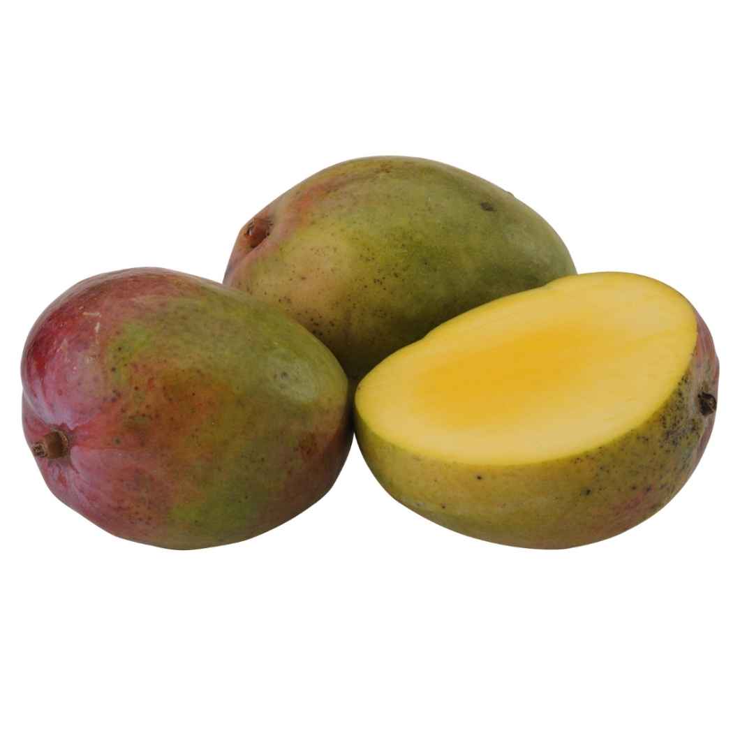 Mango 2 St – Frisches Obst für Snack & Desserts