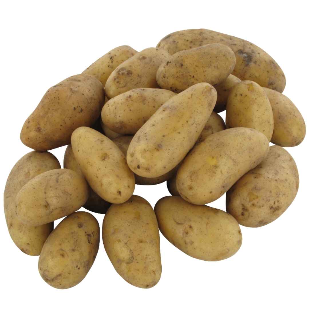 Inova Kartoffeln festkochend 1.5 kg – Speisekartoffeln