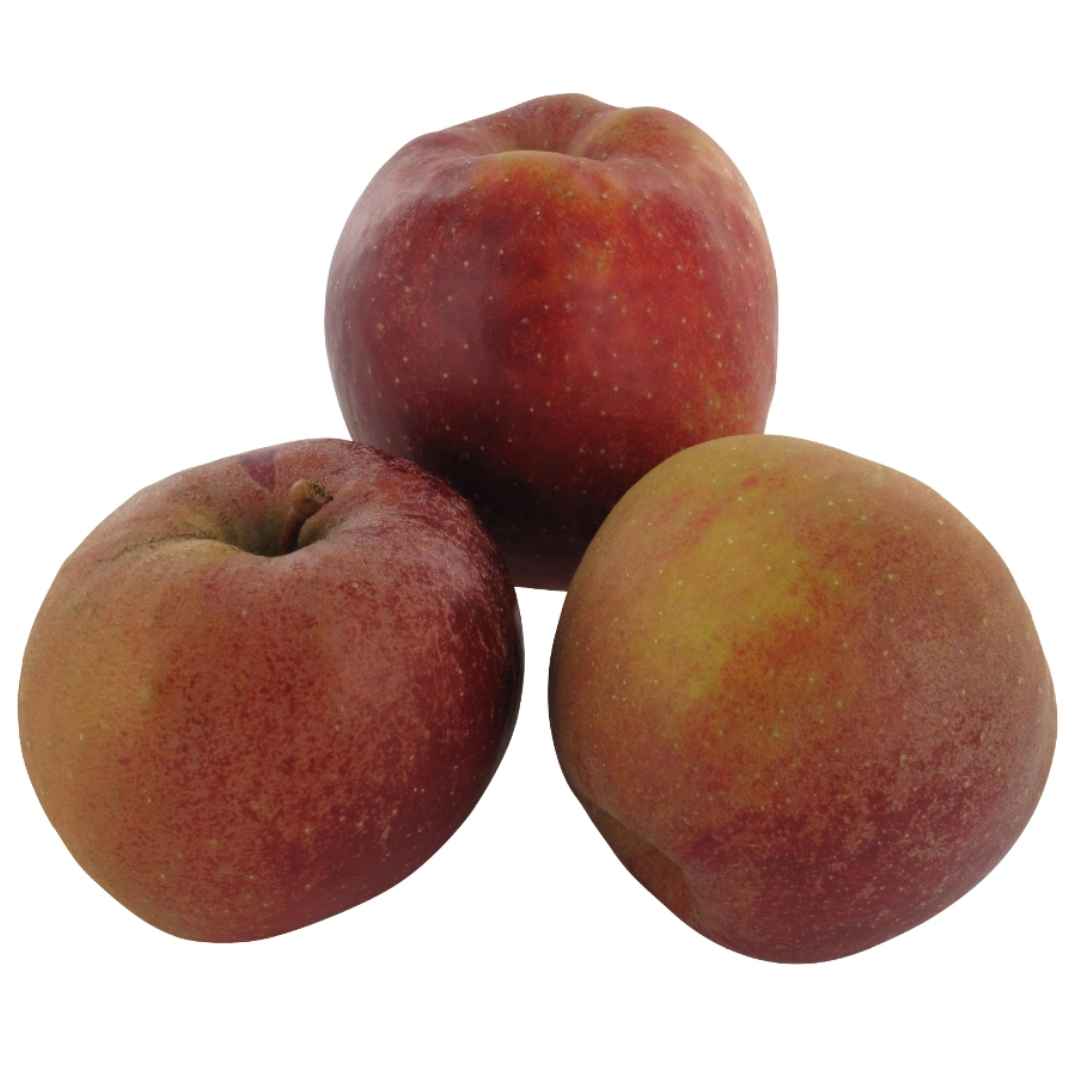 Roter Boskop Apfel ca 1 kg – Frische Äpfel für Backen