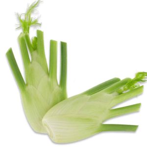 Fenchel ca 430 g – Frisches Gemüse für Küche & Salate