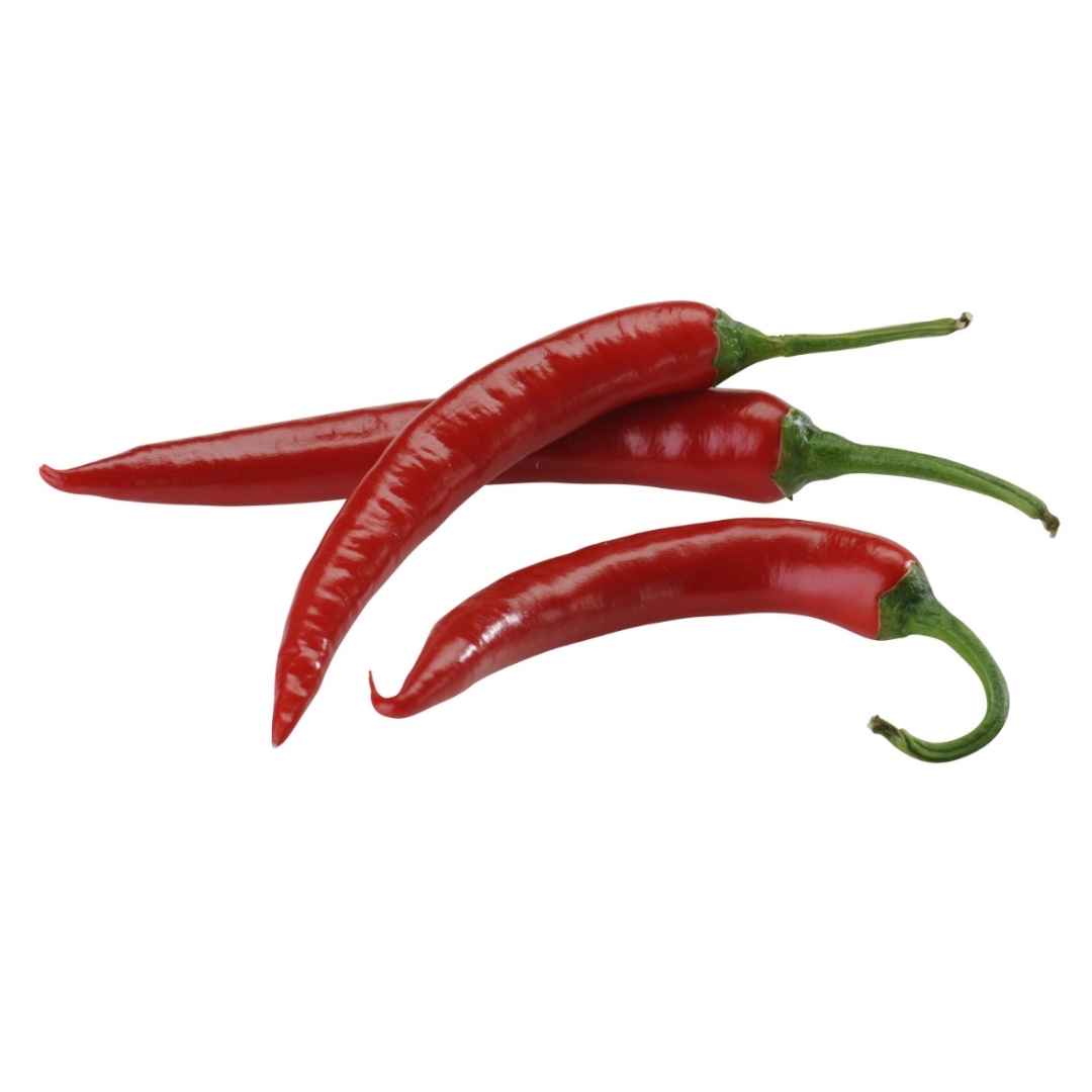 Chilis rot 50 g – Frische Schoten für Küche & Würzen – Bild 2