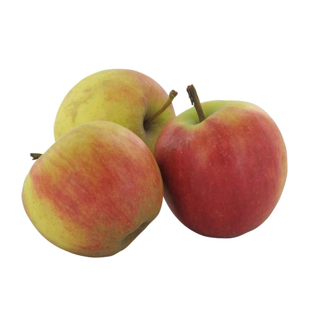 Apfel Elstar 2 kg