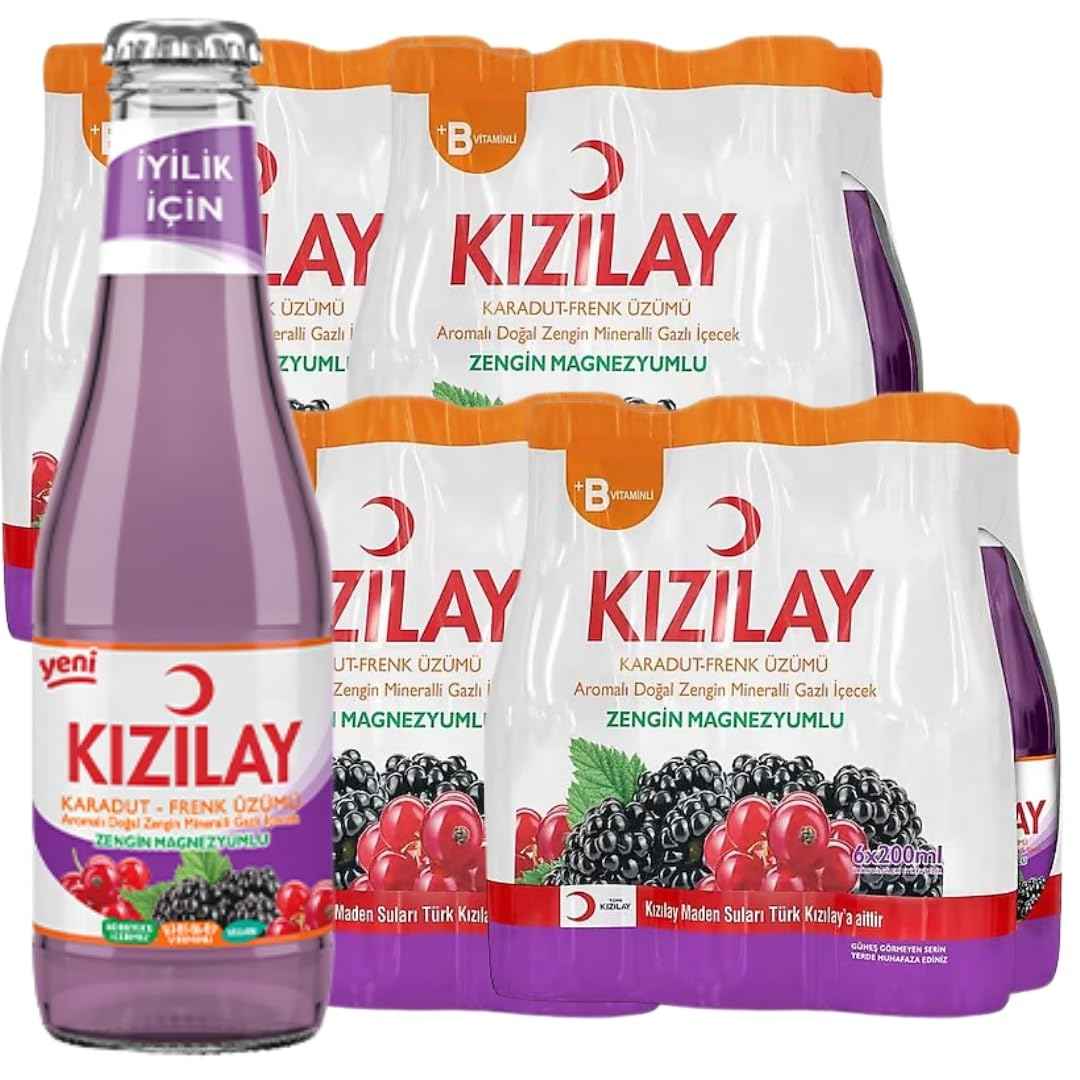 Kızılay Guava Mineralwasser 24 x 200 ml