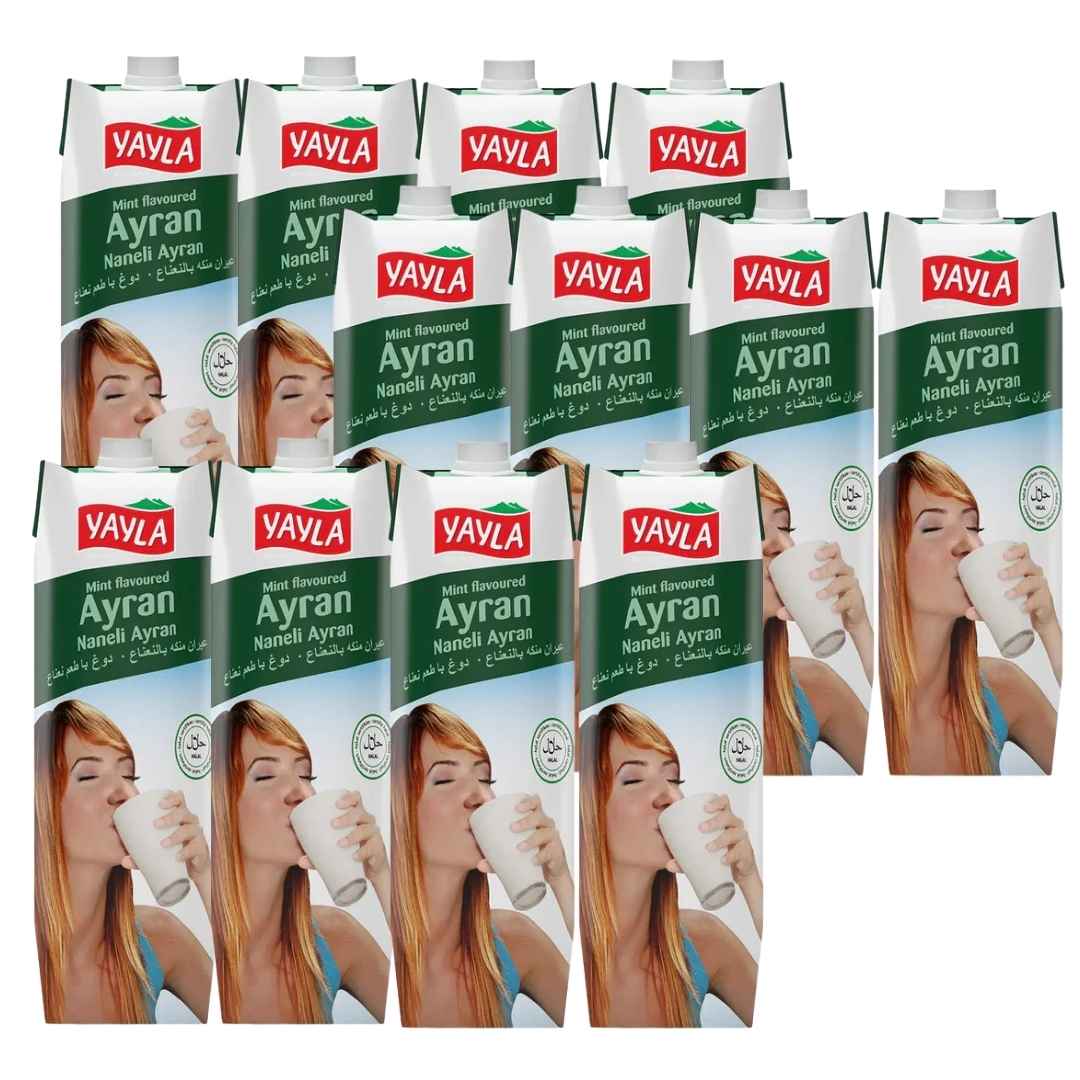 Yayla Ayran Minze 1 l 12er – Joghurtgetränk