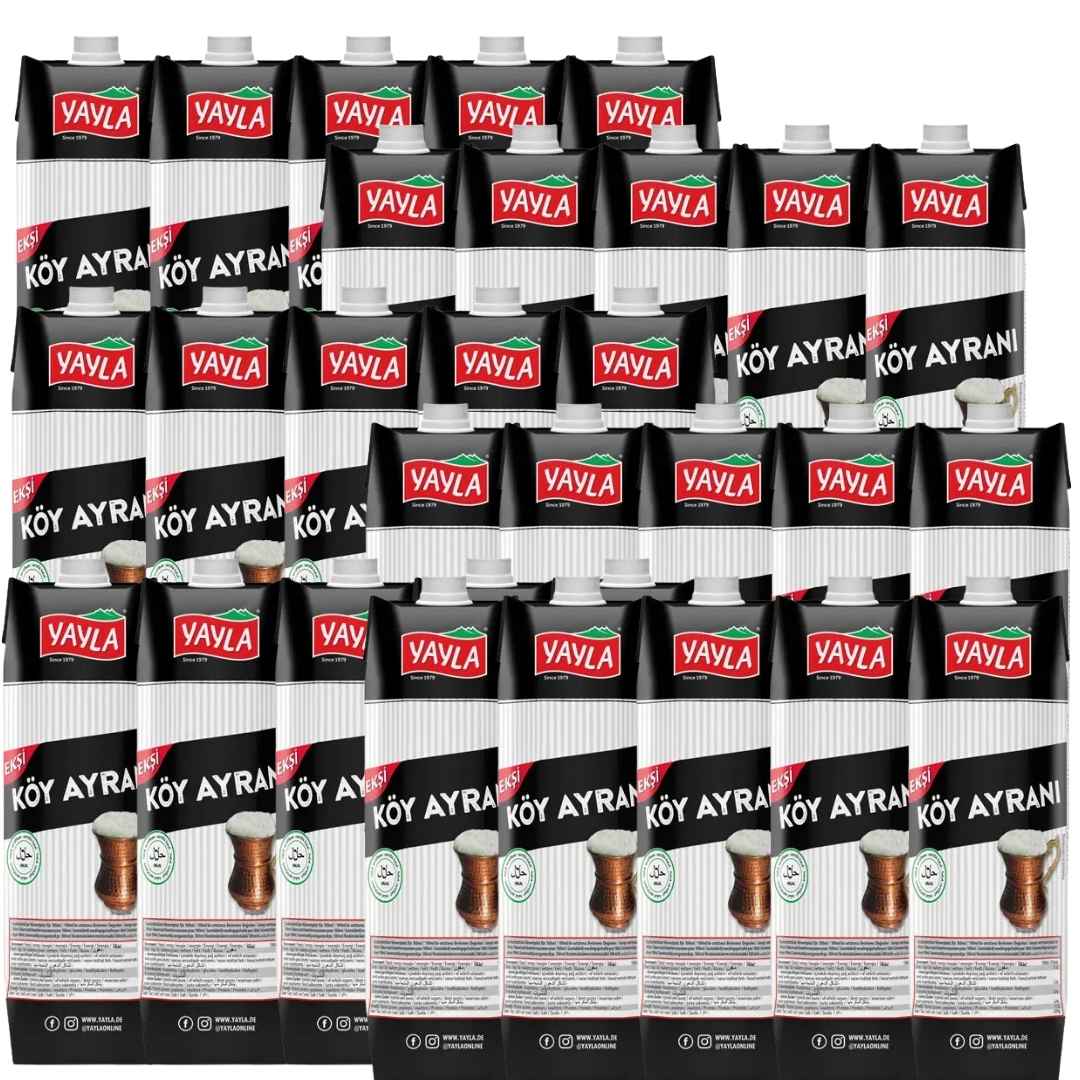 Yayla Ayran 250 ml 30er – Joghurtgetränk